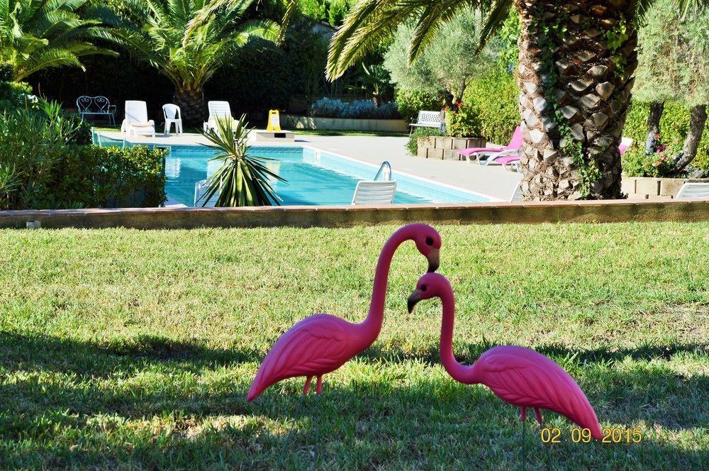 Villa Les 4 Saisons Saint Tropez Экстерьер фото